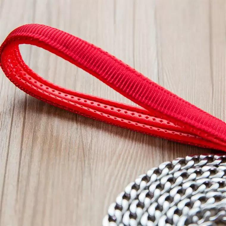 Anti-Bite 5m Iron Chain Dog Leash & Collar Set