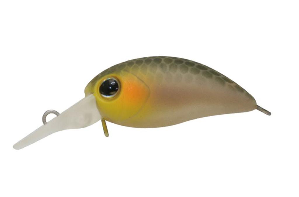 Jackall Timon Chibi Panicra DR 25 mm Momeală Plutitoare Bizin (1356)