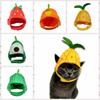 Orange Shape Cat Hat Watermelon Dogs Hats Cute Puppy Fruit Hat  For New Year Party