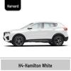Haval H6 Cool Dog Touch-Up Pen, Black Spot & Ruixue White Scratch Repair Paint