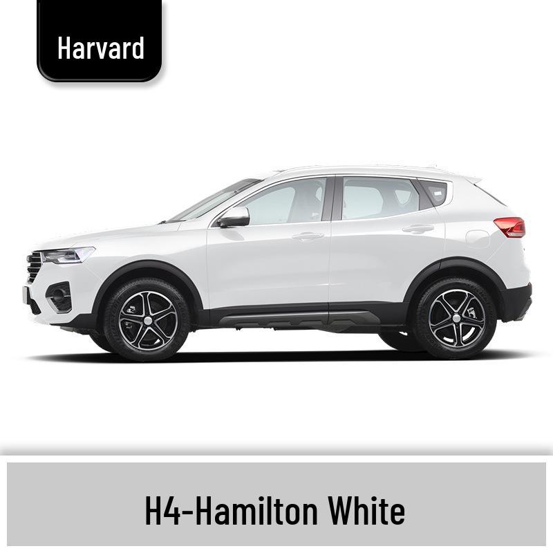 Haval H6 Cool Dog Touch-Up Pen, Black Spot & Ruixue White Scratch Repair Paint