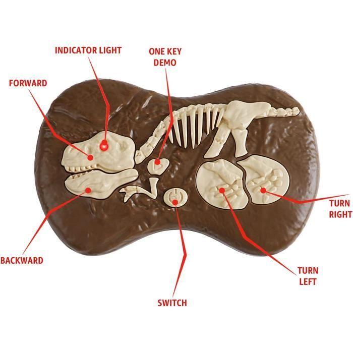 Rechargeable Remote Control Dinosaur Toy for and Children, 5 Channels 2.4G for Boy Girls, Electronic RC Walking Velociraptor