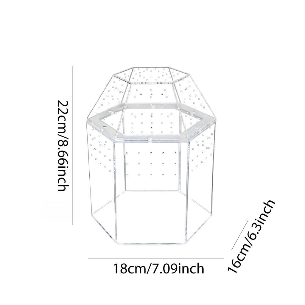Reptilien Zuchtbox Acryl Mini Vogelspinnen Gehege Volle Transparenz Spinnen Terrarium für Spinnen Vogelspinnen Schnecken Echsen Reptilien