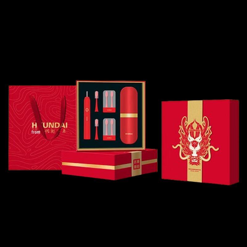 

Hyundai X10 Auspicious Sonic Electric Toothbrush Gift Set