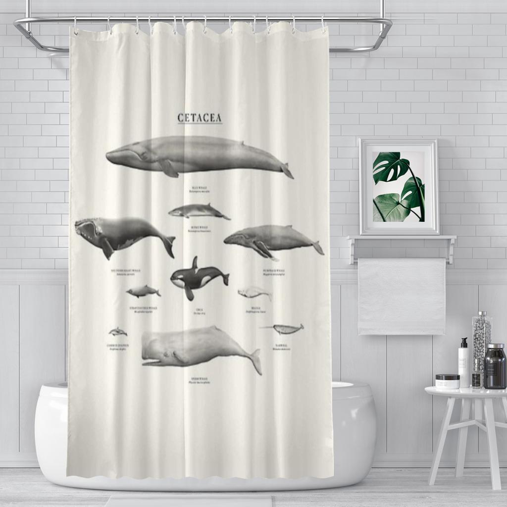 

Cetacea Unique decor Modern Fabric Bathroom Shower Curtains art design Print Curtain 152x183CM