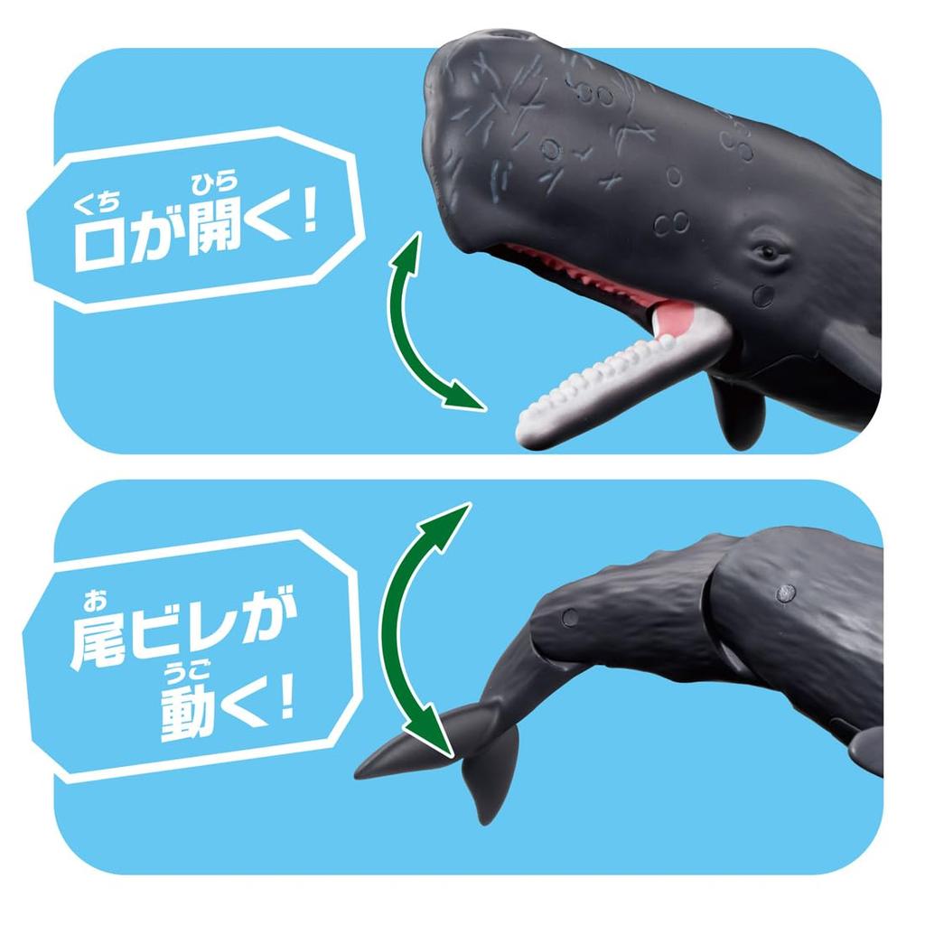 Takara Tomy Ania Pottwal Tier Dinosaurier Spielzeug für Alter 3+ AL-34 (Schwebende Version)