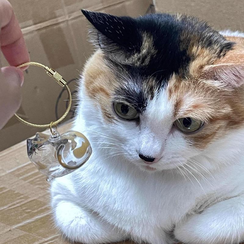 3Pcs My Pet'S Fur Container Cat Hair Storage Box Hanging Cat Keychain Pendant Pet Hair Grooming Souvenirs Bag Hanging Decor