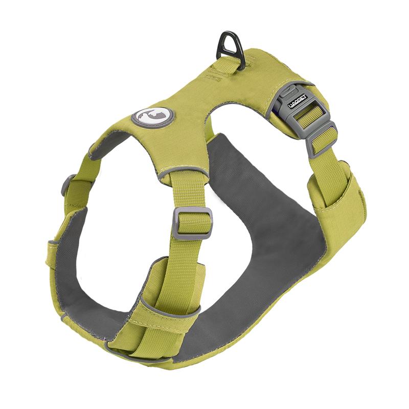 

Домашняя собака Не тянуть безопасная нагрудная шлейка Функция противовзрывной прогулки Для маленьких и средних собак прочная прочная шлейка для немецкой овчарки XS(33-43cm) зелёный