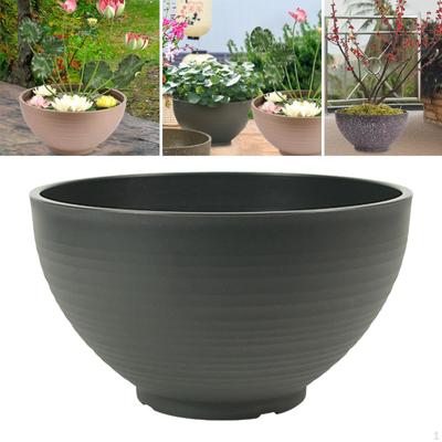 Bonsai Floating Planter for Hydroponic Use, Garden Bowl Water Plant Pot