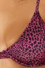 Women's Style Plus Size Fuchsia Balconette Plus Size Bikini Top