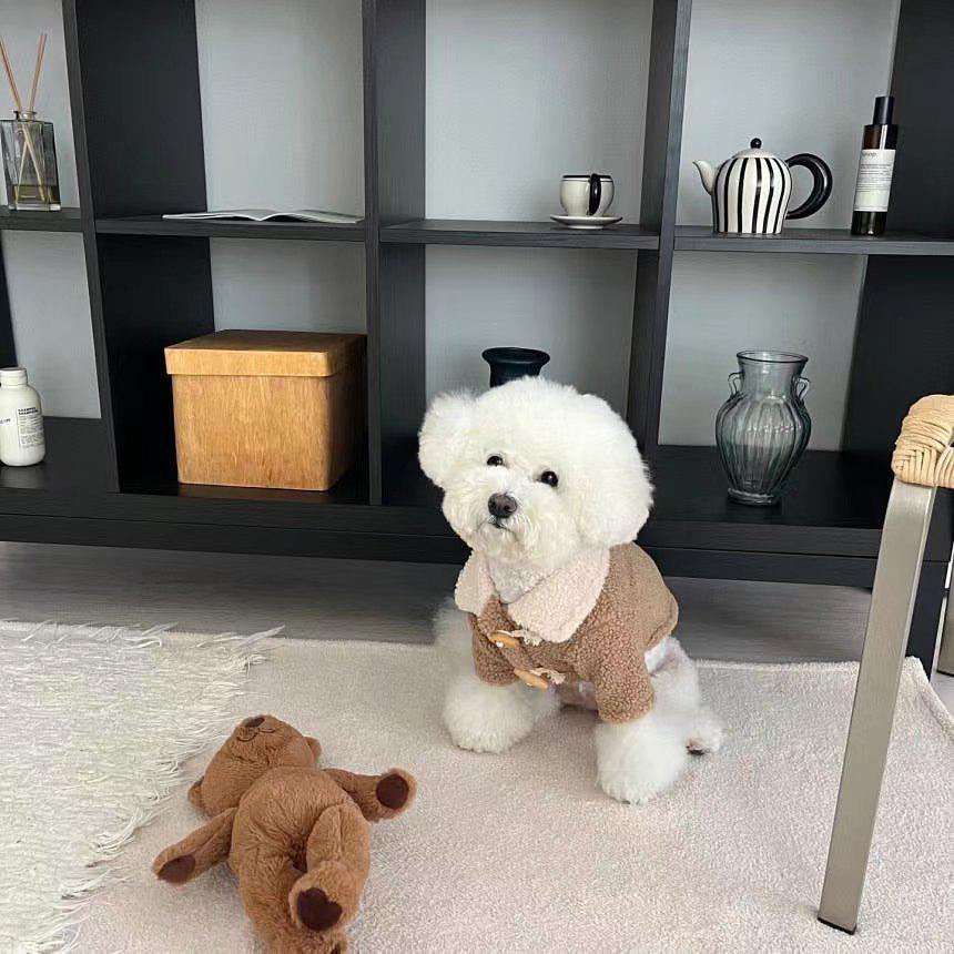 

Пальто из теплого флиса ягненка в корейском стиле для маленьких собак и кошек - Коллекция Осень/Зима S хаки