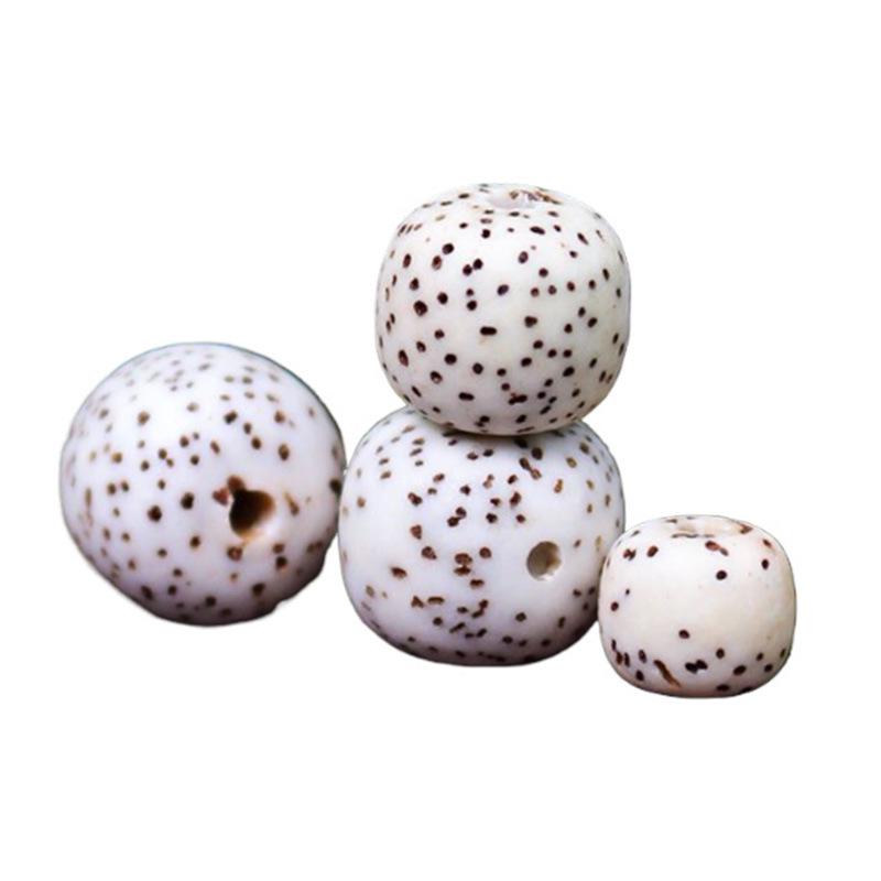 Bodhi Seed Beads: Star Moon Barrel Beads for DIY Buddhist Hand Strings and Accessories, Hainan Original Undegreased.