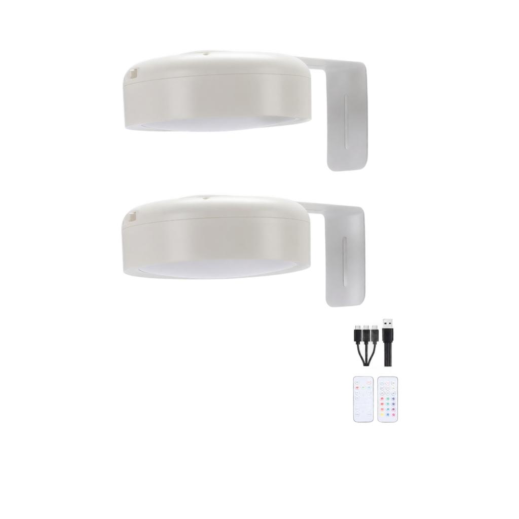 Rechargeable Wall Light with Wireless Remote, Ball Night Light, No Wiring Indoor Lamp