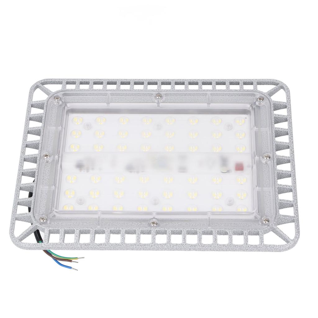 100W 12000LM LED Work Light Water Explosion Proof Lamp Glass Cover Lighting Lamp for Factory Mine Wa