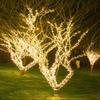 Begong LED Solar Fairy String Lights, 8 Modes, Warm White