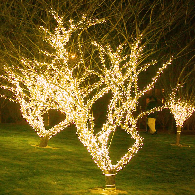 Begong LED Solar Fairy String Lights, 8 Modes, Warm White