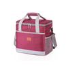 Insulated Food Delivery & Picnic Bag with Ice Pack