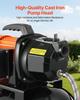Bomba para Pozos Poco Profundos de 1 HP con Tanque de Presión, 230V 3750 L/h, Bomba de Chorro para Riego de Hierro Fundido con Tanque de 19 L, Sistema Automático de Transferencia Booster de Agua,