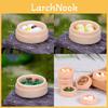 Miniatures en Résine Boulettes Vapeur et Shaomai Figurines Alimentaires Décor Mignon Micro Paysage