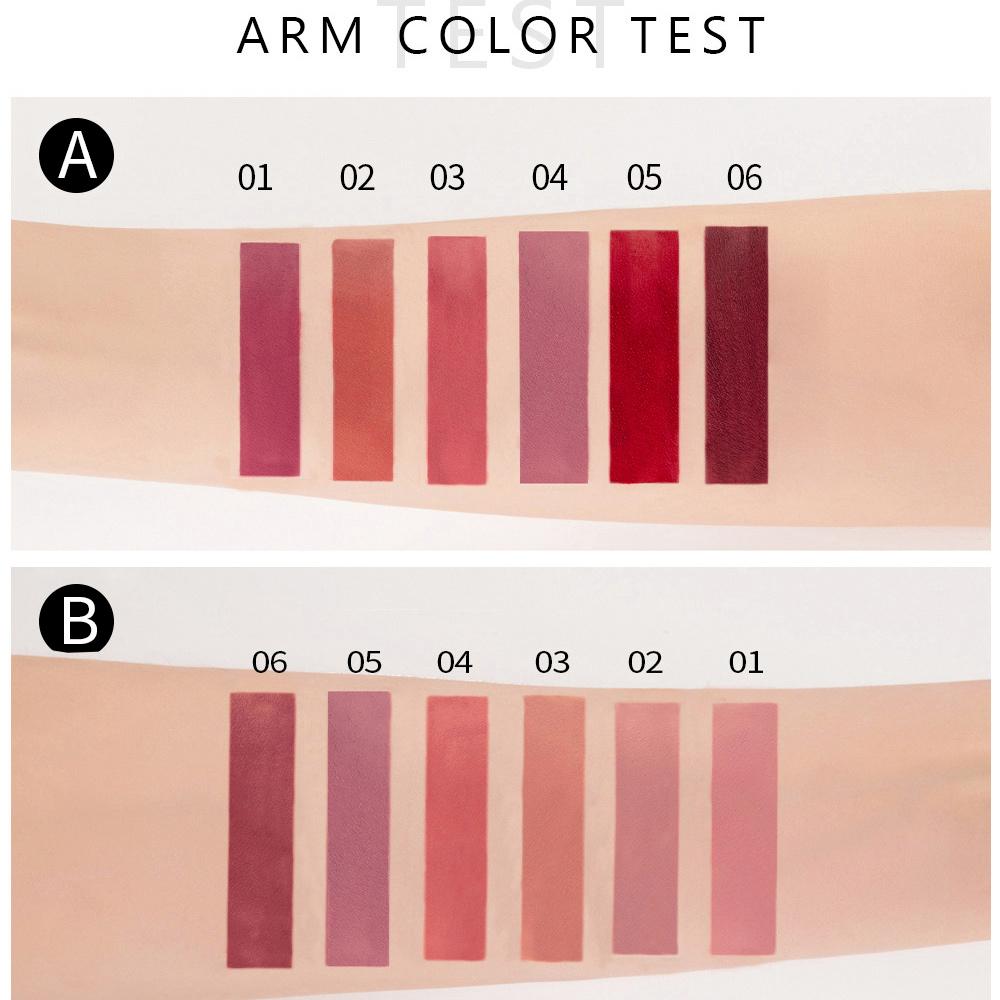 6pcs/Set Sexy Velvet Matte Liquid Lipstick Waterproof Long Lasting Nude Lip Gloss Kit Makeup Gift