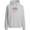 Originals VRCT HD M Sweatshirt Men's Medium Heather Gray JW1964