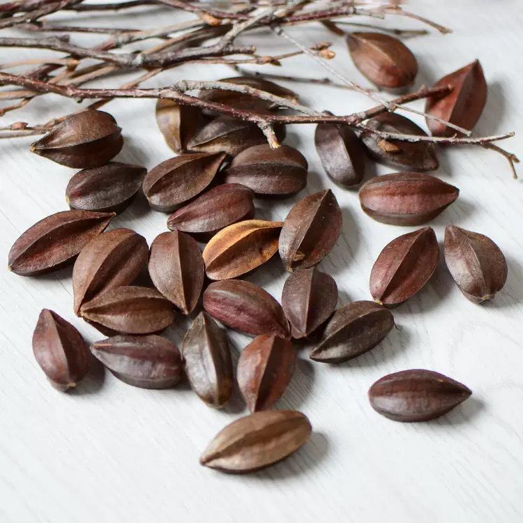Rattan DIY Craft Kit: Cute Peapod Doll Pendant Material Pack