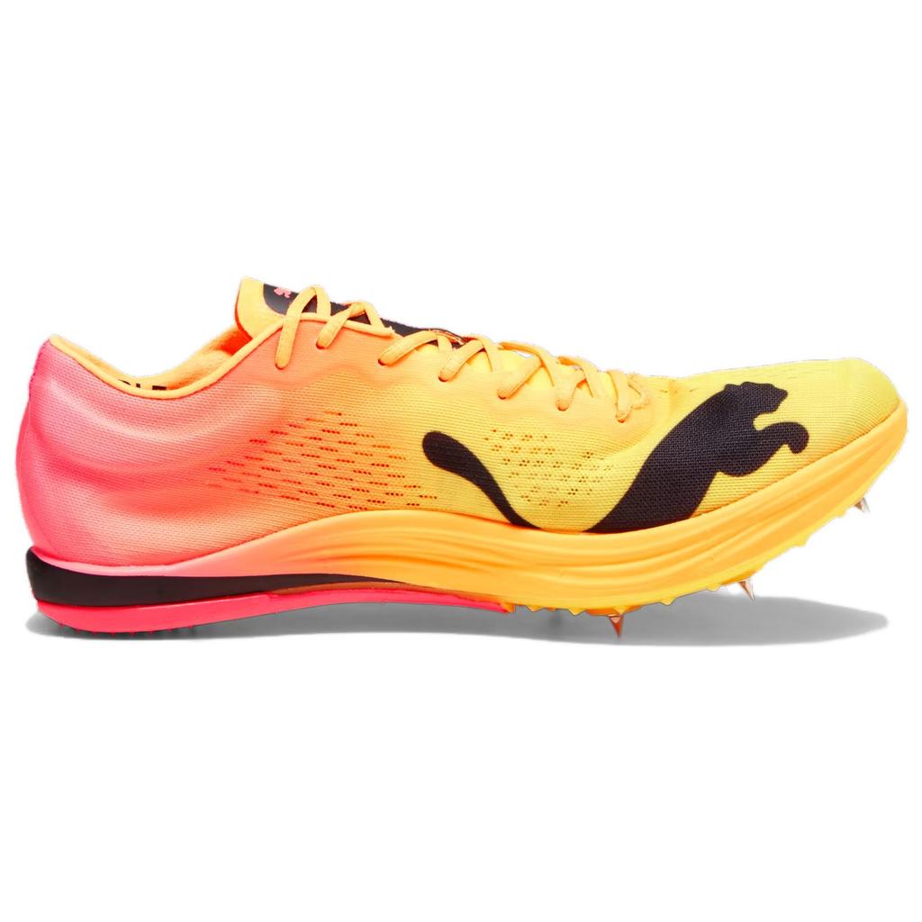 New PUMA EvoSPEED Long Distance Nitro Elite+ Spike Shoes 'Orange' 378222-03
