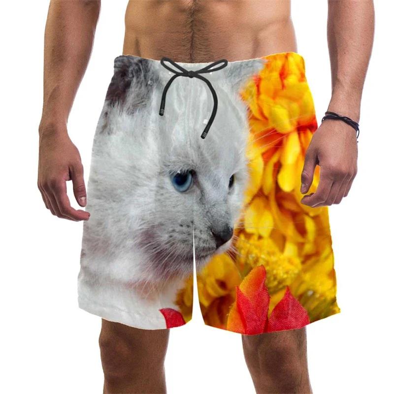 3d Print Funny Cat Beach Shorts For Men Quick Dry Swim Trunks Summer Drawstring Cool Vacation Surf Board Shorts Men Clothing