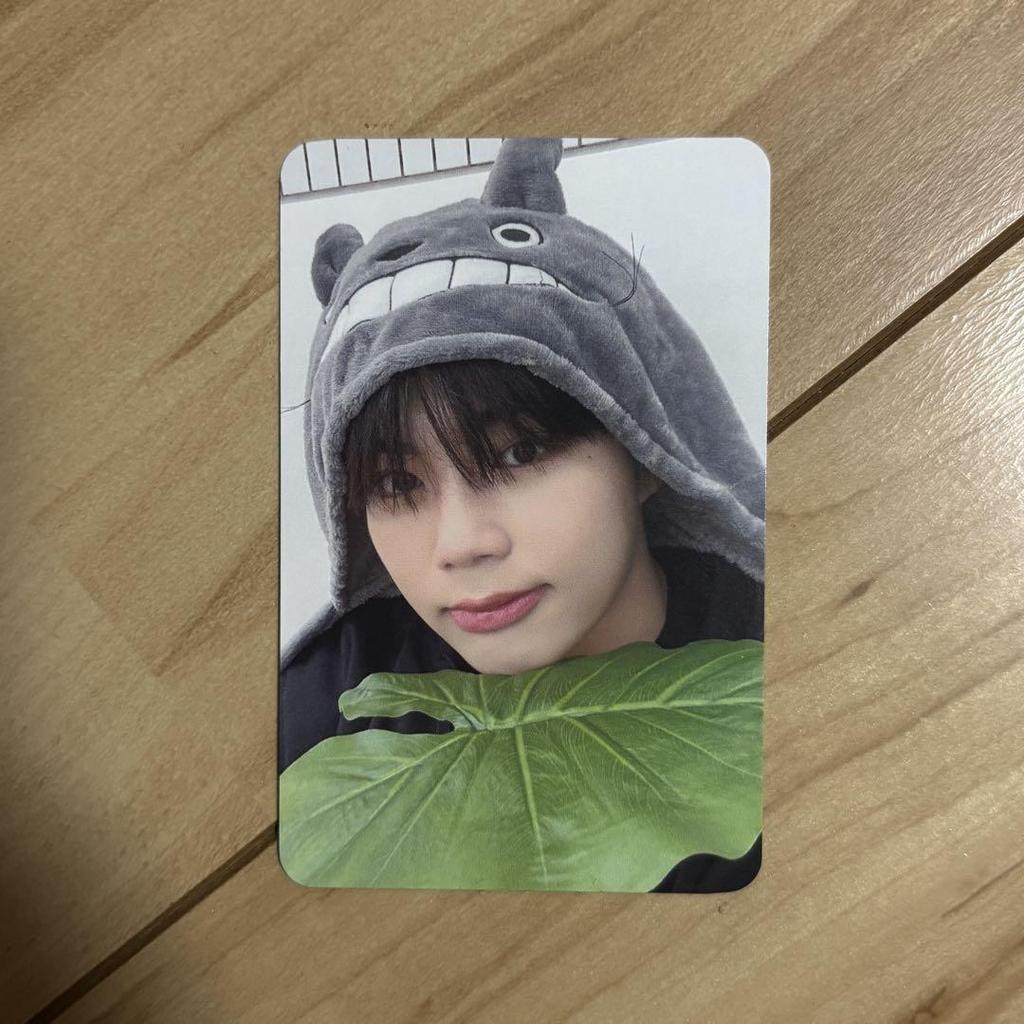 [USED] Go-Nuk Trading Card ZB1 Everline Bonus Lucky Doro Totoro