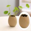 Ceramic Artwork Vase Egg Porcelain Flower Pot Plant Bonsai for S
