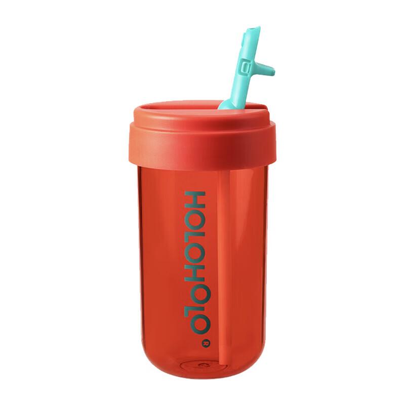 HOLOHOLO 450ml Straw Tumbler