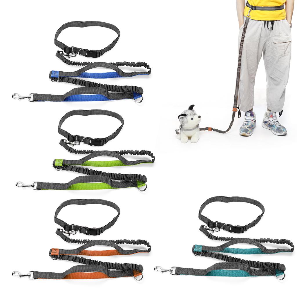 running dog lead