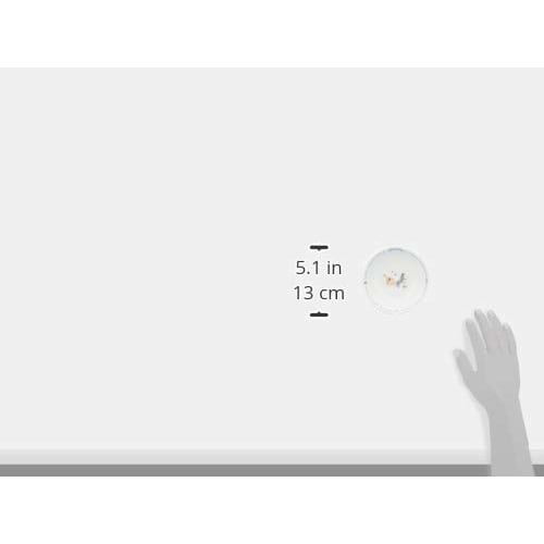 NARUMI Bremen Children's Dishware, Made In Japan, Heat-Resistant Porcelain, 7980-1014