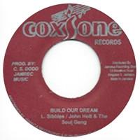 7inch Record DUDLEY SIBLEY , JOHN HOLT , SOUL GA - Love In Our Nation / Build Our Drea NONE Coxsone Records Jamaica Reggae, Ska & Dub Used