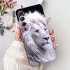 For Samsung Galaxy M34 M54 5G Case Luxury Painted Soft Slim Silicone TPU Back Cover on Samsung M14 SM-M145F M 14 GalaxyM14 Funda