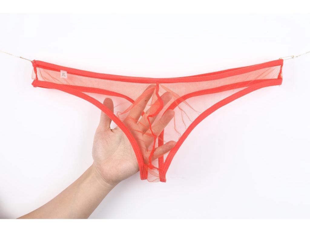 Men's See-Through Low-Rise Mesh T-Back Underwear - Plus Size C-035