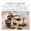 &NE Iwami-yaki Grater, Small, Hare to Ke x Motoshige, Gray, Made in Japan, One-handed Grating, Inclu