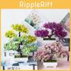 Magnifique Bonsaï Simulation Pin Artificiel Plante en Pot Pour Décoration Maison et Bureau