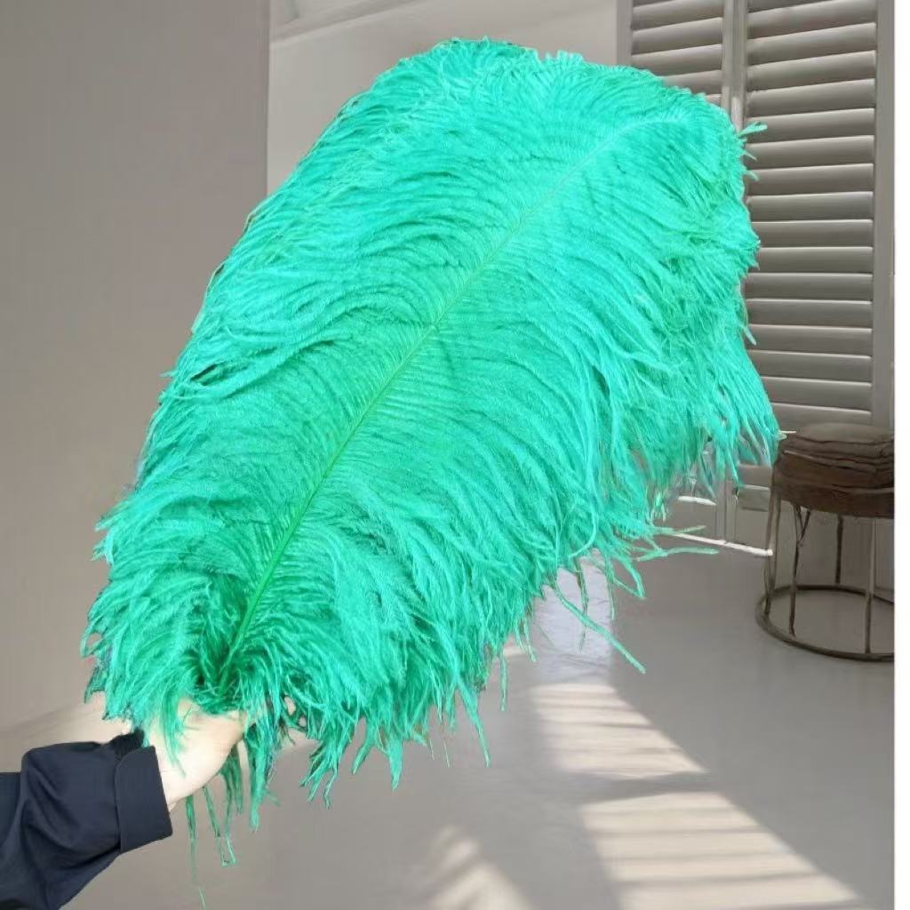 1pcs Ostrich Hair 65-70Cm Photo Feather Wall Wedding Road Guide Decorative Props Colored Feathers