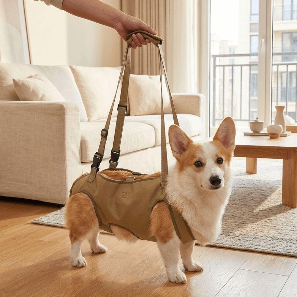 Adjustable Pet Auxiliary Vest Soft Lining Full Body Support Support Harness Mobility Aid Thicken Handle Dog Lift Strap