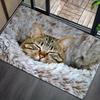 1Pcs Cozy Cat Pattern Floor Mat Modern Kitchen Polyester Rug Non-Slip Colorful Indoor Carpet, For Home Bathroom Bedroom Living Room Decor