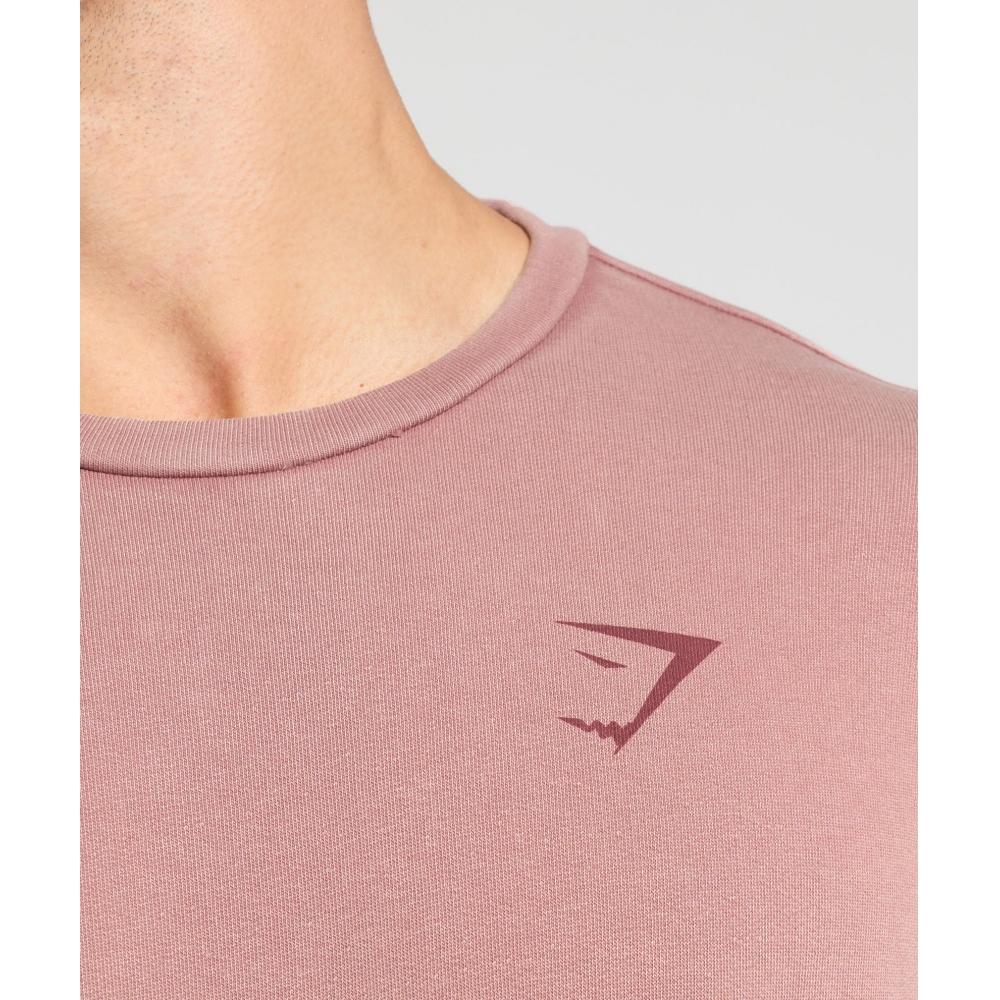 Gymshark Power Washed Crew Brick Brown A2a8c Ncrq