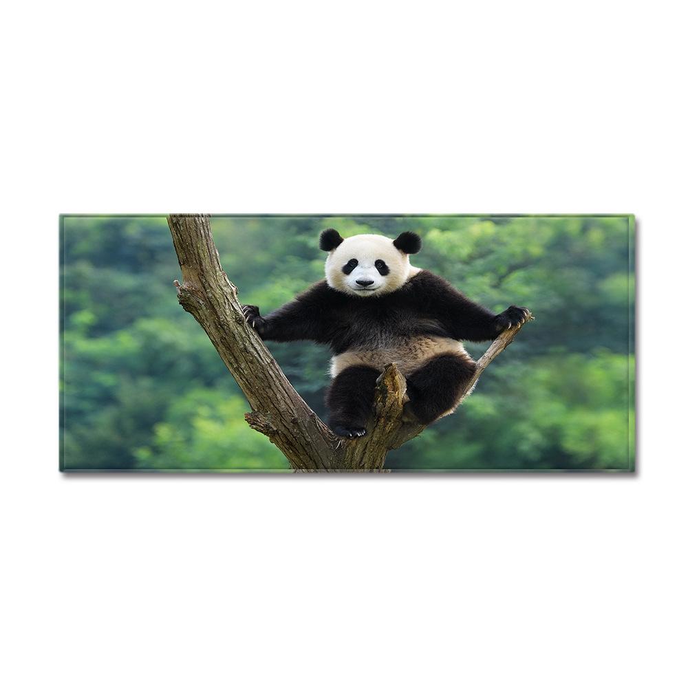 Animal Entry Mat Kitchen Absorbent Mat Bathroom Non-Slip Mat Bedroom Living Room Carpet Floor Mat