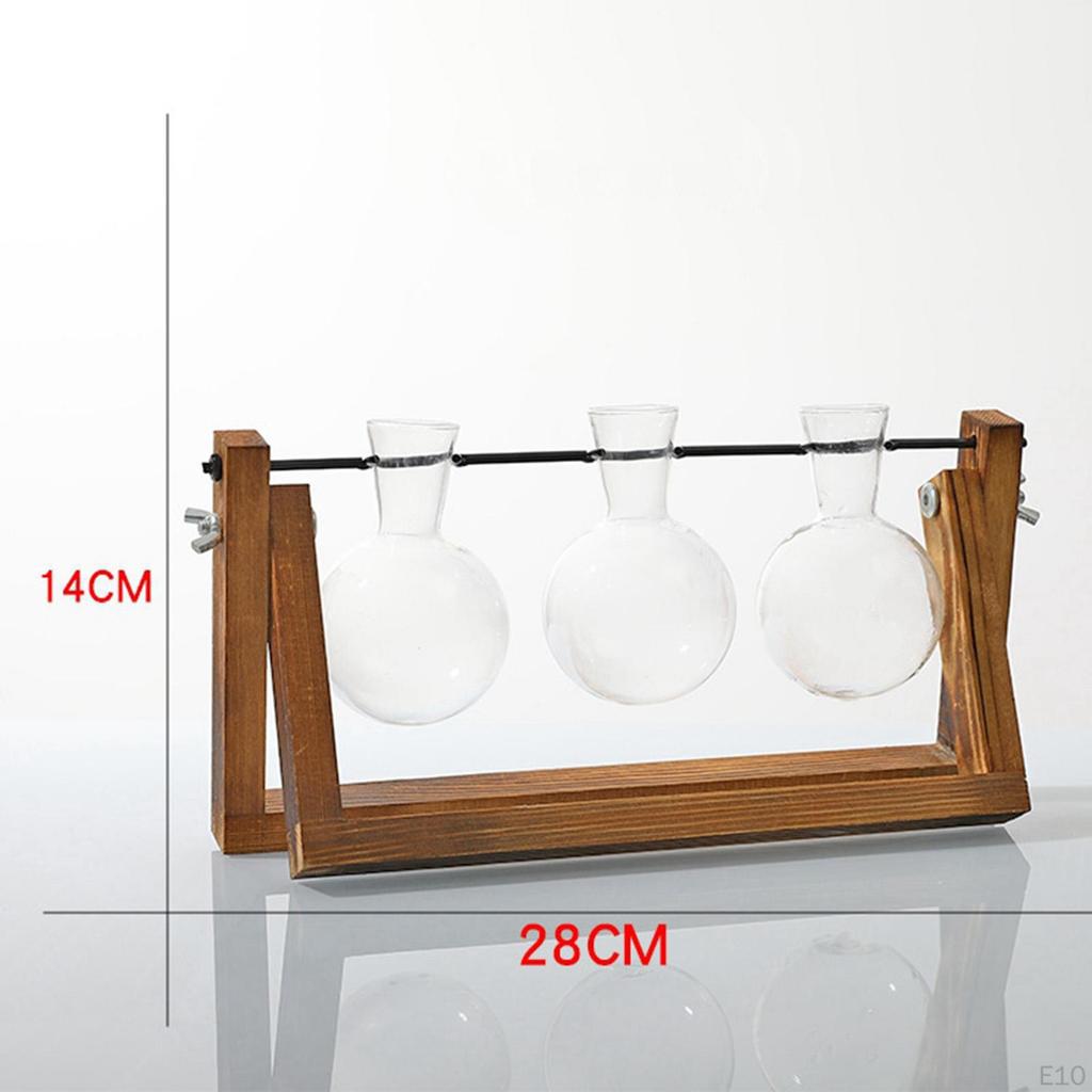 er Bulb Terrarium Vase for Home Decor