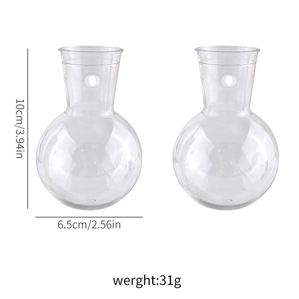 Transparent Wall-Mounted Hydroponic Plant Vase with Suction Cup Hook for Pothos - Small Hanging Eco-Bottle Container