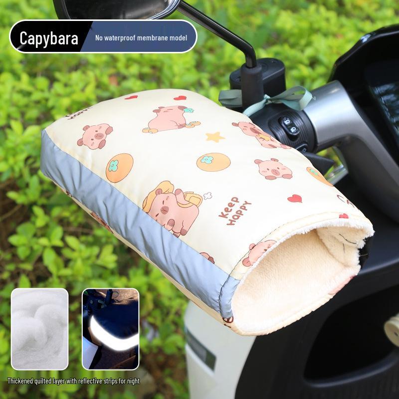 Women's Winter Electric Vehicle Windproof Gloves for Motorcycles & Scooters