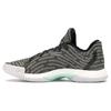Harden Vol. 1 Ls Primeknit Night Cargo AH2113
