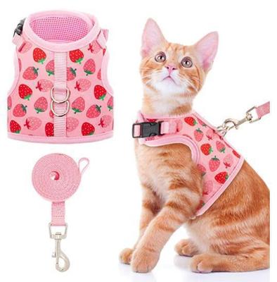 Pettorina per Gatto Traspirante Collare Anti-Fuga Set Pettorina e Guinzaglio per Animali Domestici Gattino Cucciolo Cani Piccoli Gilet Pettorale Anti-Trazione Chihuahua