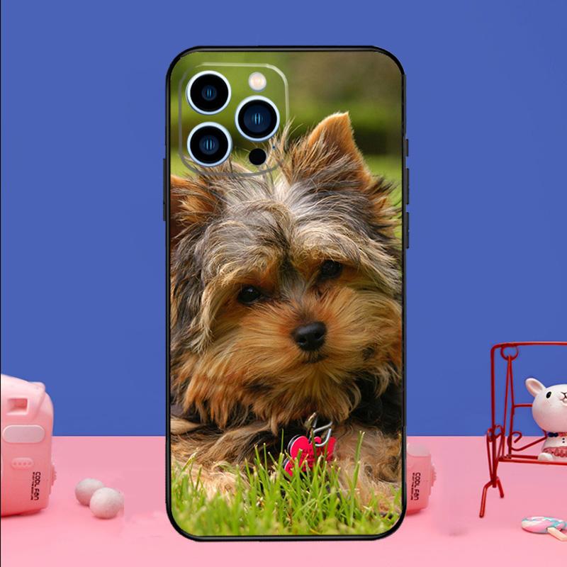 Mini Yorkshire Terrier Phone Case For iPhone 17 Air 16 15 14 11 12 13 Pro Max 13 mini 15 16 Plus 16e Bumper Cover