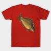 Unisex Fashion TShirt Carp Print TShirt Plus Size S-5XL T-Shirt 100%Cotton Tops O Neck Short Sleeve Tees